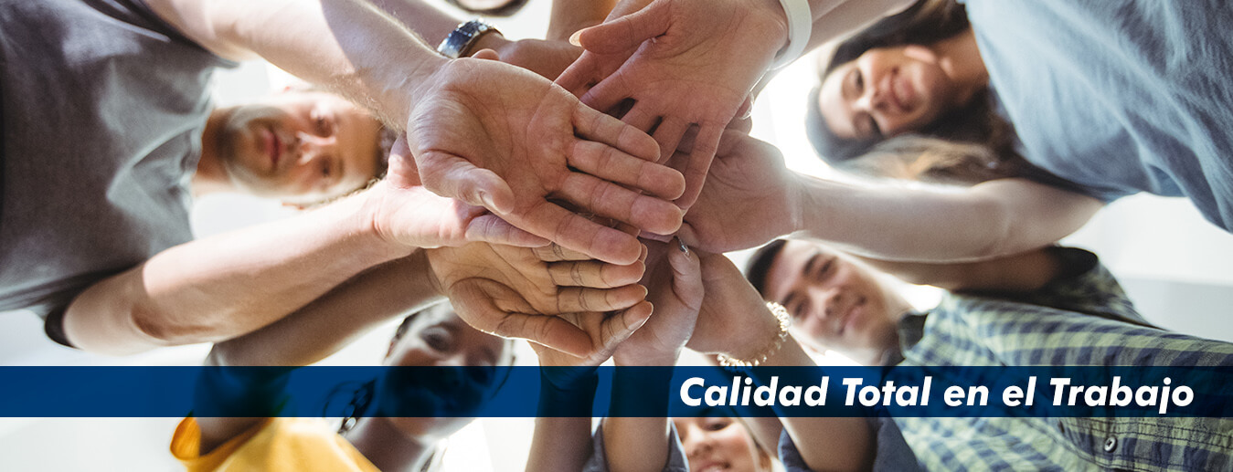 calidad-total